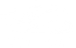 teknopoint-logo-vazado